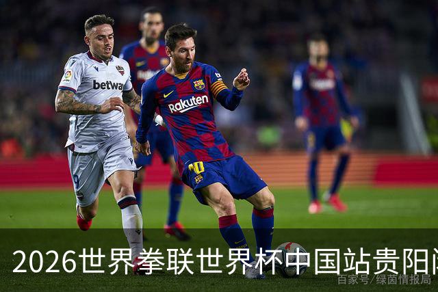 2026世界拳联世界杯中国站贵阳闭幕 中国队五名选手夺得冠军